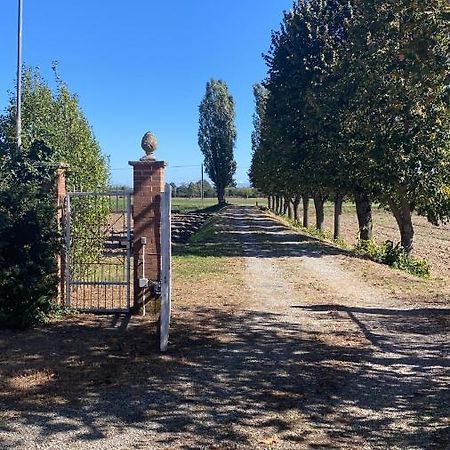 Bilocale Immerso Nel Verde Oviglio Εξωτερικό φωτογραφία