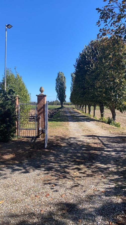 Bilocale Immerso Nel Verde Oviglio Εξωτερικό φωτογραφία
